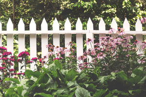 Wooden Fence